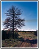 Backroad, NM Backroad, NM