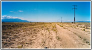 CR56, NM CR56, NM