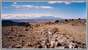 CR56, NM CR56, NM