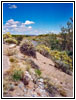 Rio Grande, Coronado State Monument, New Mexico