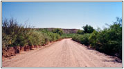 Bosquecito Road, New Mexico