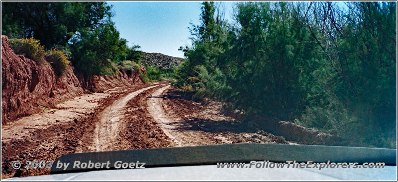 Bosquecito Road, NM