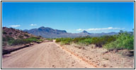 Bosquecito Road, NM