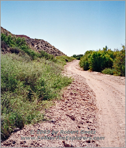 Bosquecito Road, NM