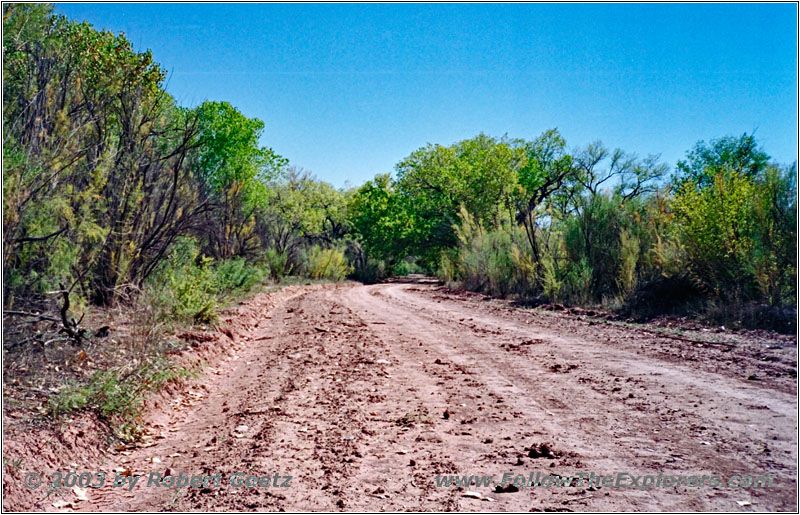 Bosquecito Road, New Mexico