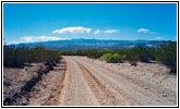 Bosquecito Road, NM Bosquecito Road, NM
