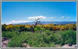 Bosquecito Road, New Mexico