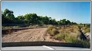 Kranich bei Highway 158, New Mexico