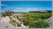 Backroad, NM