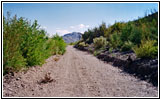 Backroad, New Mexico Backroad, New Mexico