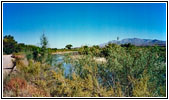 Bermuda Road, Rio Grande, New Mexico