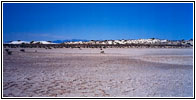 Playa Trail, White Sands, NM Playa Trail, White Sands, NM
