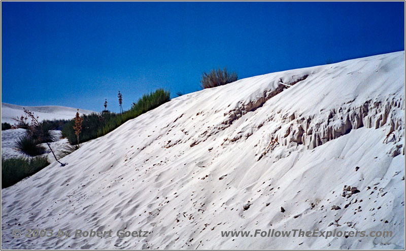 Big Dune Native Trail, White Sands, NM Big Dune Native Trail, White Sands, NM