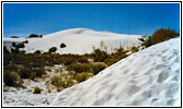 Big Dune Native Trail, White Sands, NM Big Dune Native Trail, White Sands, NM