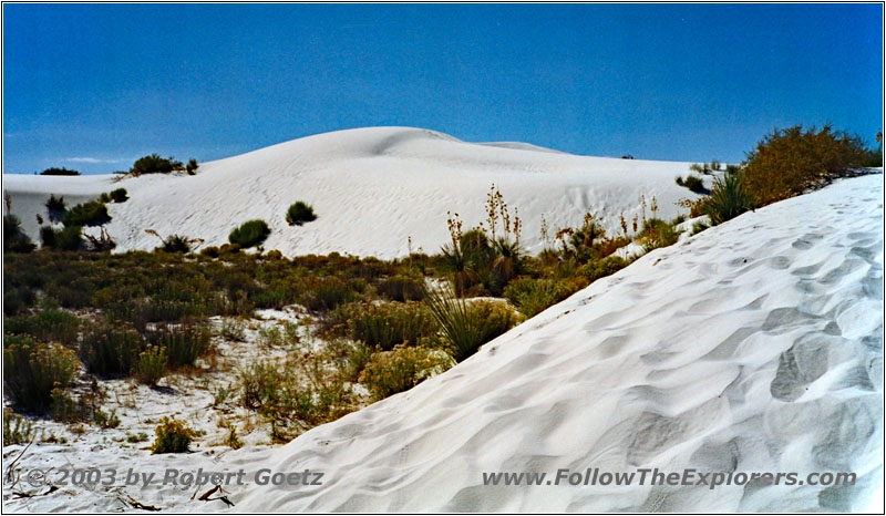 Big Dune Native Trail, White Sands, NM Big Dune Native Trail, White Sands, NM