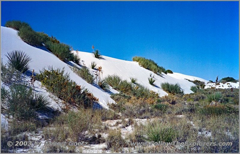 Big Dune Native Trail, White Sands, NM Big Dune Native Trail, White Sands, NM