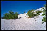 Big Dune Native Trail, White Sands, NM Big Dune Native Trail, White Sands, NM