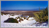 Big Dune Native Trail, White Sands, NM Big Dune Native Trail, White Sands, NM