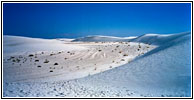 Alkali Flat Trail, White Sands, NM