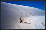 Alkali Flat Trail, White Sands, NM Alkali Flat Trail, White Sands, NM