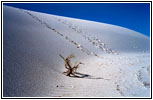 Alkali Flat Trail, White Sands, NM