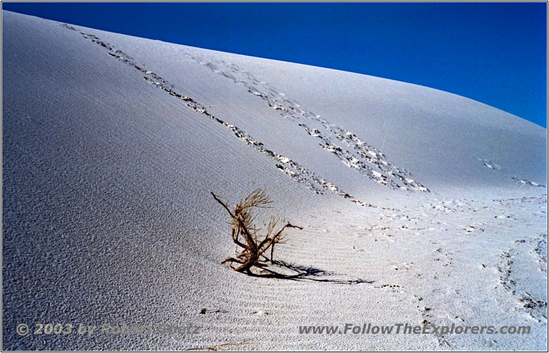 Alkali Flat Trail, White Sands, NM