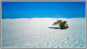 Alkali Flat Trail, White Sands, NM