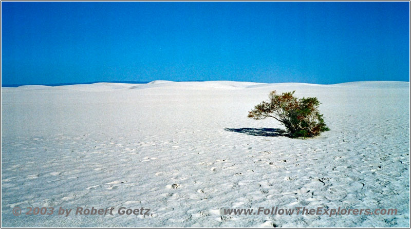 Alkali Flat Trail, White Sands, NM