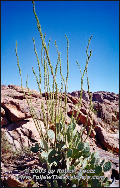 Hueco Tanks State Park, Texas