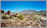 Hueco Tanks State Park, TX Hueco Tanks State Park, TX