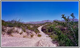 Pinto Canyon Road, Texas