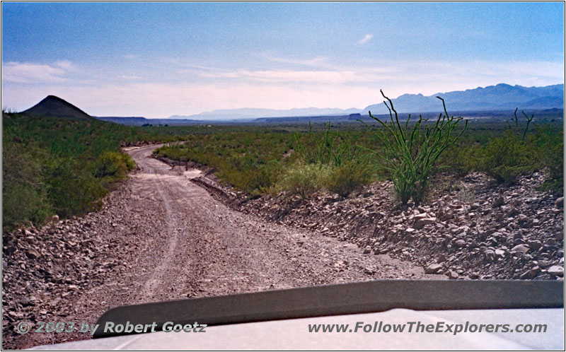 FM170, TX FM170, TX