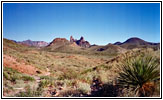 Mule Ears Viewpoint, Big Bend National Park, TX