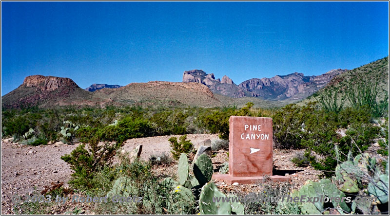 Sign Pine Canyon, Big Bend National Park, TX Sign Pine Canyon, Big Bend National Park, TX