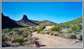 Pine Canyon Road, Big Bend National Park, TX Pine Canyon Road, Big Bend National Park, TX