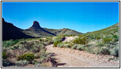 Pine Canyon Road, Big Bend National Park, TX