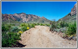 Pine Canyon Road, Big Bend National Park, Texas