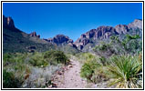 Pine Canyon Trail, Big Bend National Park, TX Pine Canyon Trail, Big Bend National Park, TX