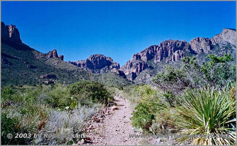 Pine Canyon Trail, Big Bend National Park, TX Pine Canyon Trail, Big Bend National Park, TX