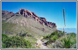 Pine Canyon Trail, Big Bend National Park, TX Pine Canyon Trail, Big Bend National Park, TX