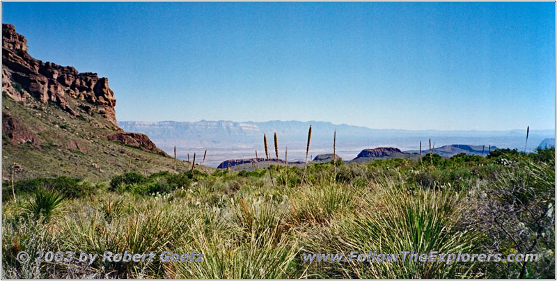 Pine Canyon Trail, Big Bend National Park, TX Pine Canyon Trail, Big Bend National Park, TX