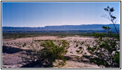 Fossil Bone, Big Bend National Park, TX Fossil Bone, Big Bend National Park, TX
