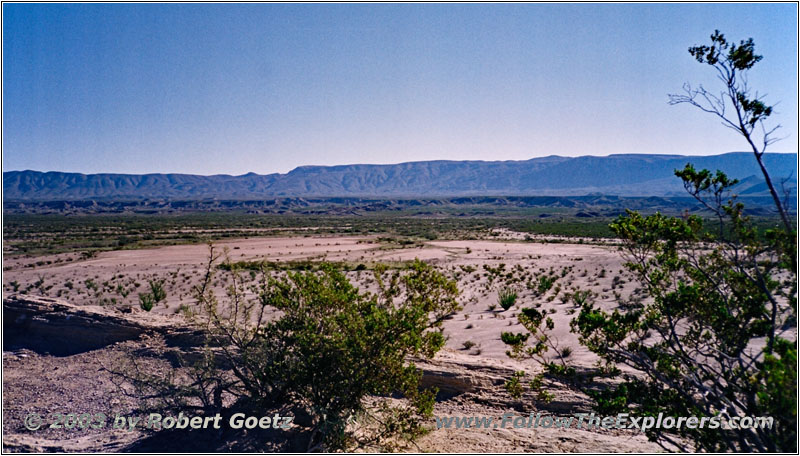 Fossil Bone, Big Bend National Park, Texas