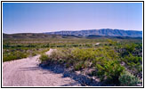 Dagger Flat Trail, Big Bend National Park, TX