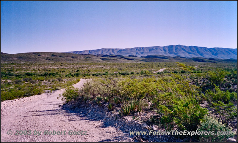 Dagger Flat Trail, Big Bend National Park, Texas