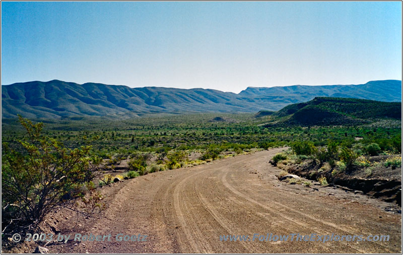 Dagger Flat Trail, Big Bend National Park, TX