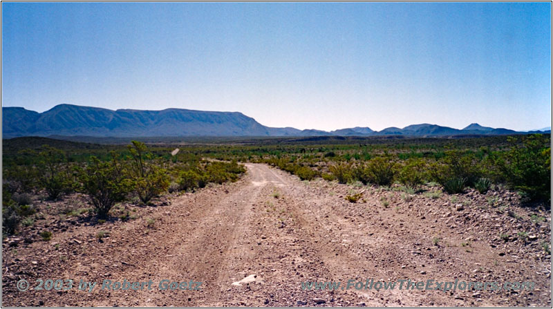 Dagger Flat Trail, Big Bend National Park, Texas