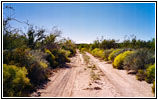 Old Ore Road, Big Bend National Park, Texas