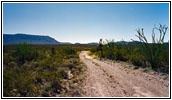 Old Ore Road, Big Bend National Park, Texas