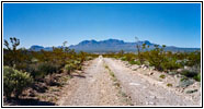 Old Ore Road, Big Bend National Park, Texas